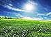 FLASIY 7x5FT Nature Scenery Photography Backdrop Green Grass Flowers Sunshine Blue Sky White Clouds Photo Background for Party Studio Outdoor Shooting Photo Video Props AYY004