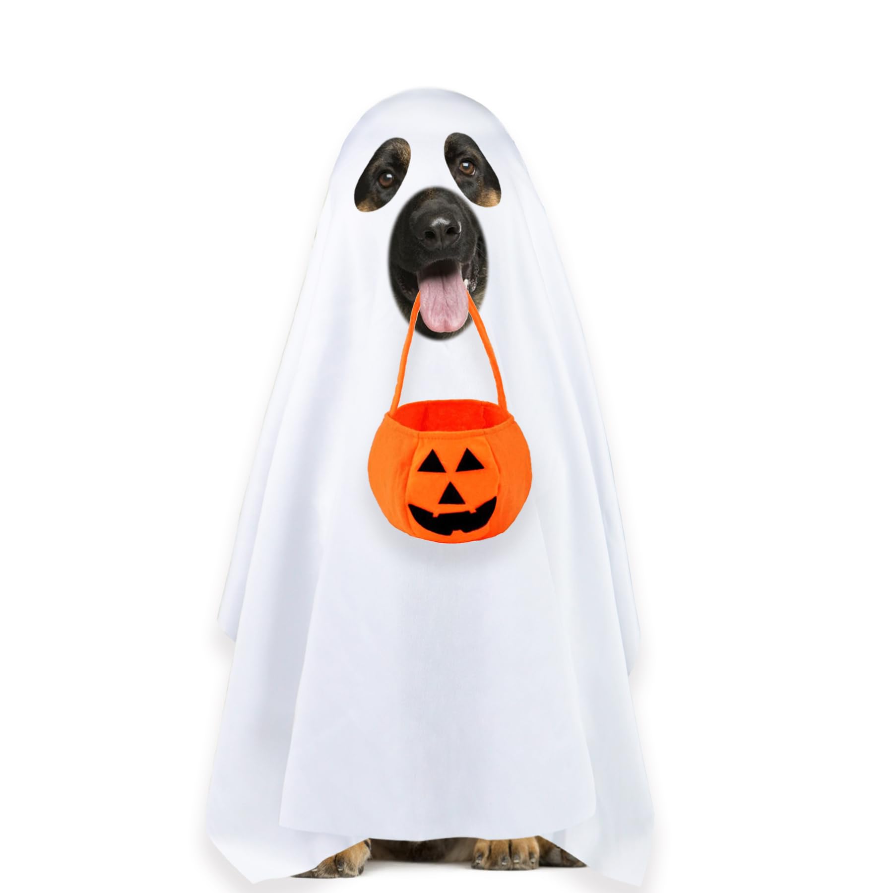 Photo 1 of PAYHTOW Dog Halloween Costumes, Dog Ghost Costume Funny Pet Ghost Costume with Pumpkin Candy Bag for Small Medium Large Dogs Pets (Large)