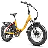 Hipeak Elias Electric Bike for Adults, 20" x