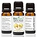 BioFinest White Pear Fragrance Oil - 100% Pure Natural Fruit - for Home Aromatherapy, Essential Oil Diffuser, Air Refresher, Skin Hair Care Cosmetic Flavoring Candles Soap Spray - Free E-Book (10ml)