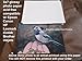 100 sheets 5 X 7 Glossy Photo Paper for Hp Epson Canon Brother Lexmark Kodak Photo Printers
