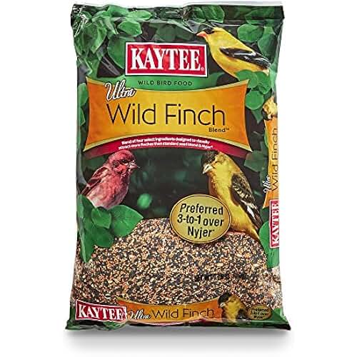 house finch food