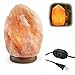 Feiuruhf Himalayan Salt Rock Lamp Hand Carved Organic Crystal Salt Night Light with Genuine Neem Wood Base, Bulb and Dimmable Switch for Home Office Hotel Steam Room (Large)