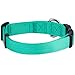 Blueberry Pet Essentials X-Small Dog Collar in Emerald | Adjustable & Eco-Friendly Durable Nylon Strap | Classic Collar for X-Small Dogs, Boy & Girl Pets