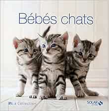 Bebes Chats La Collection French Edition Mabel Schiavo Rita Amazon Com Books