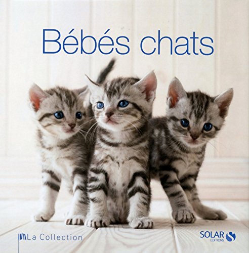 Bebes Chats La Collection French Edition Mabel Schiavo Rita Amazon Com Books