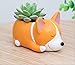 Youfui Corgi Gift Planter Flowerpot Resin Succulent Planter Desk Mini Ornament (Crogi Dog)