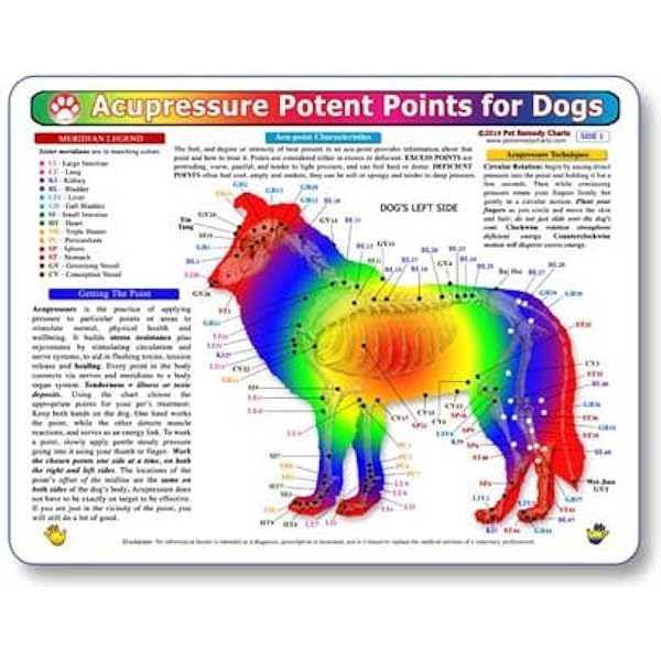 hills urinary care cd