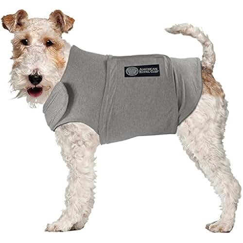 dog calming vest