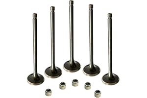 FUYEAR Engine Intake and Exhaust Valve Kit With seal for Yamaha Raptor 660R 2001~2005 Yamaha Grizzly 660 2002-2008 RHINO 660 2004-2007 HiSun Bennche Massimo MSU UTV700 750