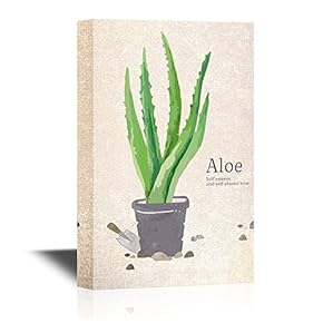 Canvas Wall Art - Painting Style Aloe in a Pot - Gallery Wrap Modern Home Art | Ready to Hang - 12" x 18"