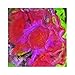 Rezin-Arte (Epoxy,Resin,Paint,Color,Art)