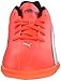 PUMA Adreno Indoor Jr Soccer Shoe