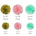 Pink Gold Mint Party Decorations, Tissue Paper Flowers & Craft Pom Poms + Tassel Garland + Birthday Balloons – Party Supplies and Party Decorations Kit for Wedding, Birthday, Baby Shower