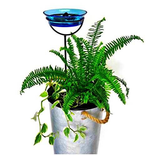 Mosaic Birds Cuban Garden Stake Bird Bath Feeder Birdseed Mealworm G465VM Recycled Glass Bowl Container with Adjustable Height Stake - Clear