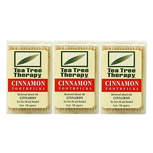 Tea Tree Therapy Toothpicks, Cinnamon, 100 Count (3-Pack) - //coolthings.us