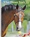 What Horses Teach Us 2020 Engagement Calendar by 