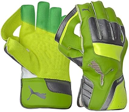 puma evo 2 wicket keeping gloves