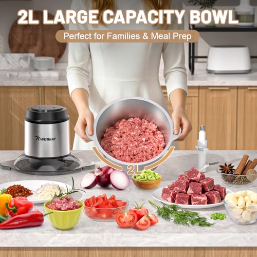 NWOUIIAY Electric Kitchen Chopper 2L 300W, 2 Speed Food Processor with 4 Blades, Multifunction Stainless Steel Bowl Chopper, Electric Chopper for Meat, Vegetables and Fruits