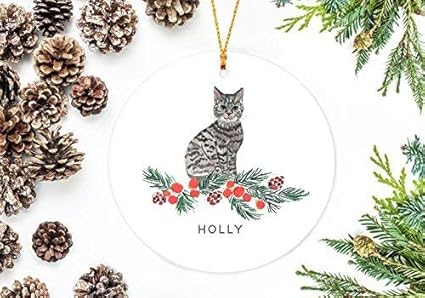 Amazon Com Louis Christmas Decoration Gray Striped Cat Ornament