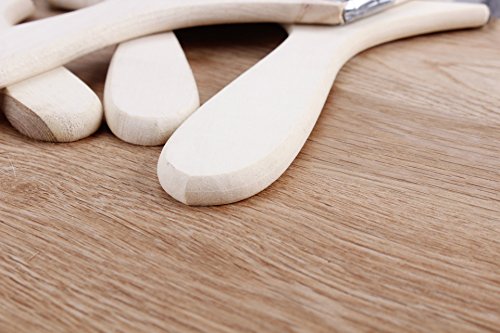 Lautechco 5Pcs Multipurpose Wool Paint Brush Wooden Handle Flour Sifter Oil Paint Utensil Art /Baking/Kitchen/Wooden Appliance Tools (2 inch)