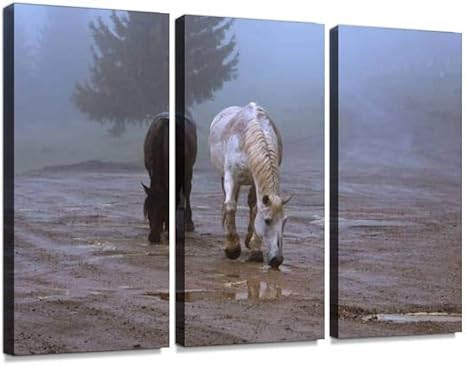 Amazon Co Jp アプセニ山脈の鉄の馬2頭 キレイ 画像ポスター パネル 現代壁の絵 壁掛け 部屋飾り 背景絵画 壁アート 完成品 3枚セット すぐ飾る ホーム キッチン