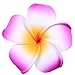 Anleolife Hawaiian Flowers Foam Hair Clips Bridal Barrette Hairpieces Tropical Beach Wedding Plumeria Flower Bridal Orchid Hairclip Hairpin Beauty Accessories 2Large 4 Small 6pcs/lot (mix color 6pcs)