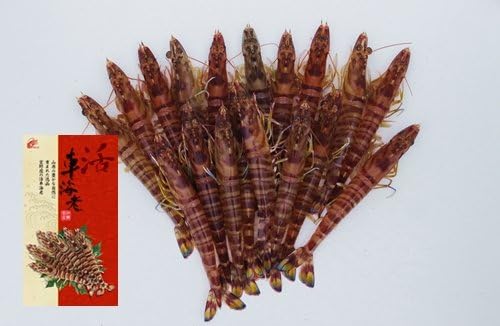 Amazon 宜野座村産 活き 車えび 500g 大 約15 5cm 17 尾 宜野座養殖場 鮮度抜群ピチピチ活き車海老 ぷりぷり食感と極上の甘み お刺身 お寿司 エビフライ エビチリ 塩焼きに 車えび エビ 通販