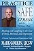 Practice Safe Stress: Healing &amp; Laughing in the Face of Stress, Burnout + Depression - Book by Mark Gorkin