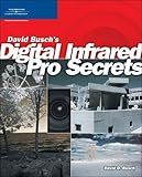 David Busch’s Digital Infrared Pro Secrets (David Busch's Digital Photography Guides)