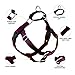 2 Hounds Design Freedom No Pull Dog Harness, Adjustable Harness and Leash Set, Easy Walking & Comfortable Control, Fits Small, Medium & Large Dogs, Solid Colors, Made in USA, 1