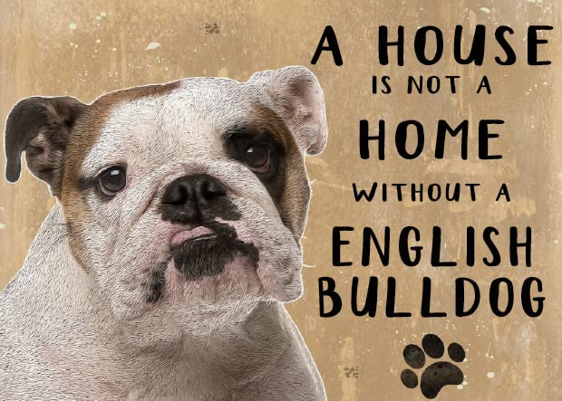 Small (150 x 200mm) Metal Sign - A House is Not a Home - English Bulldog