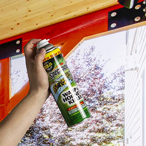 Spectracide Wasp & Killer Spray, Kills Wasps, and Yellow