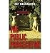 The Public Prosecutor by Jef Geeraerts, Brian Doyle