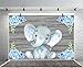 AOFOTO 5x3ft Cute Baby Elephant Backdrop Baby Shower Birthday Party Decoration Banner Photography Background Sweet Watercolor Flowers Grey Wood Cartoon Animal Newborn Infant Child Photos Studio Props