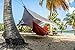 Tarp Shelter by Gnarwhal Gear - 12 x 9 Feet - Waterproof, Lightweight Rain-Fly Kit Perfect for Camping or Backpacking - Essential Hammock Tarp-Tent and Sun Shade Canopy