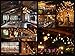 Vintage Light Bulb 60W, Elfeland Antique Style Edison Bulb ST58, Squirrel Cage Filament Teardrop Top, 337 Lumens Dimmable Incandescent Light Bulb, E26/E27 Medium Base (6 Pack)