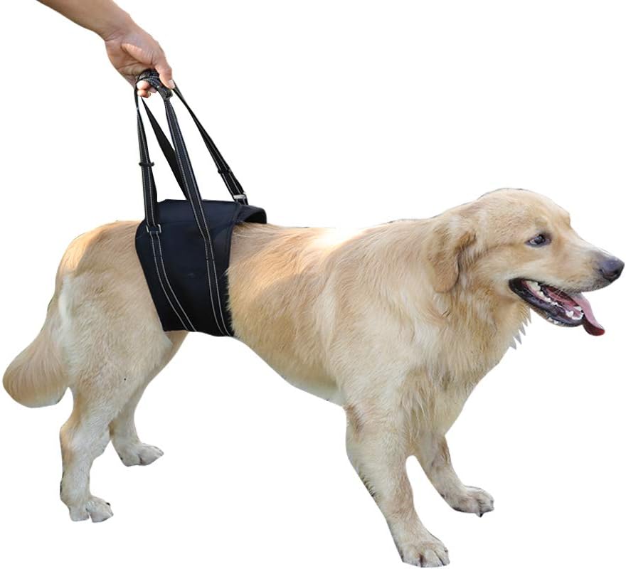 Dog Lift Harness Sling ACL Brace Limping Help Up Aid Veterinarian