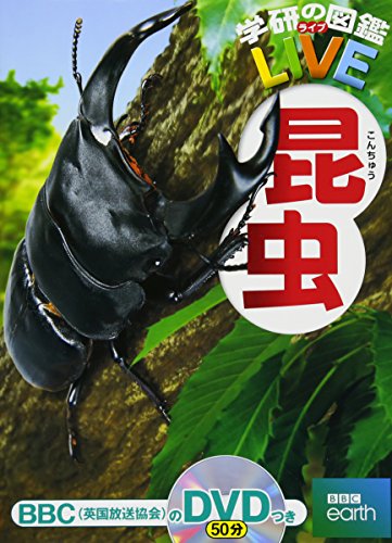昆虫 学研の図鑑live 3歳 小学生向け 図鑑 Ecp Narinukun Ac Th