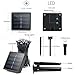 Binval Solar Powered Christmas String Lights 100 LED 8 Modes Fairy D¨¦cor Lighting for Outdoor, Indoor, Patio, Garden Tree, Wedding, Homes, Curtain, Valentine's Day Decorations(Green)