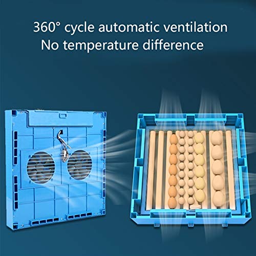 CHICTI Brutmaschine Vollautomatisch Eier-Inkubator 256 Eier Digital Mit Beleuchtung Temperaturregulierung Und… – Bild 7