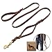 Wellbro Leather Double Handle Dog Leash-1.8cm Width by 6ft Length, Braided Training Lead with Traffic Handle, Easy Control and Heavy Duty