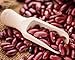 Food to Live Organic Dark Red Kidney Beans, 10 Pounds – Non-GMO, Kosher, Raw, Sproutable, Vegan