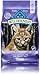 Blue Buffalo Wilderness Natural Kitten Dry Cat Food, with DHA and ARA to Support Brain and Eye Development, High-Protein and Grain-Free Diet, Chicken, 2-lb Bag