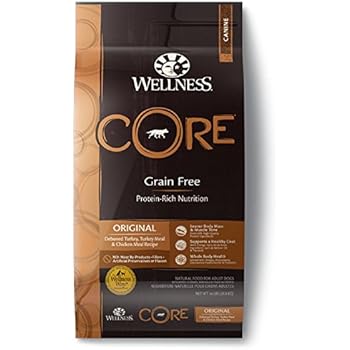 WELLNESS CORE Original Turkey & Chicken Dry Dog Food, 24-Pound Bag
