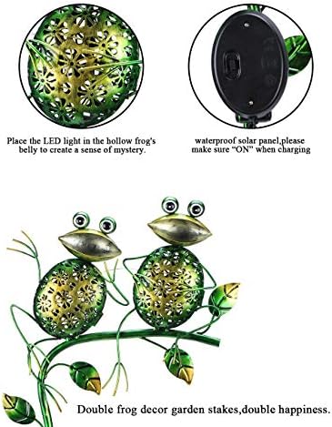 Solar backyard lights glowing in the evening hours.