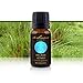 Vetiver Essential Oil, 100% Pure -15 mL