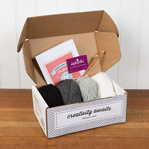 2 Knit+Picks+Learn+Club+Beginner