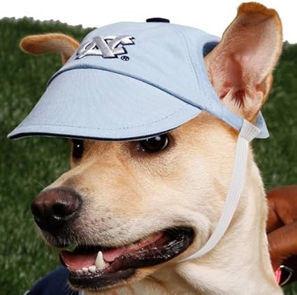 dog cap