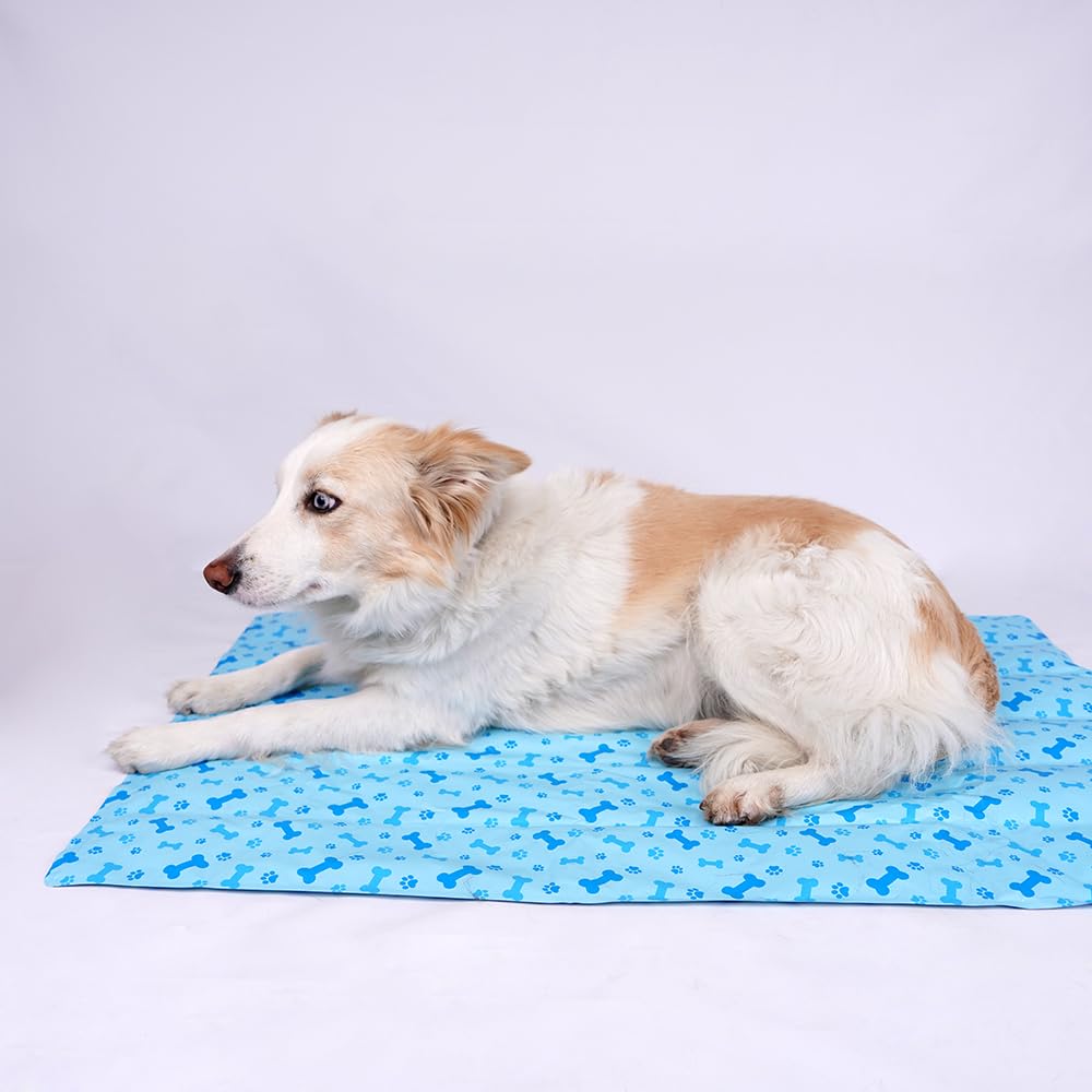 SMELL & SMILE Cooling mat for dogs cooling mat for pets 30 x 40 cm cooling mat for pets (blue30 x 40 cm)
